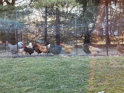 Intuitive Touch Therapeutic Massage, LLC