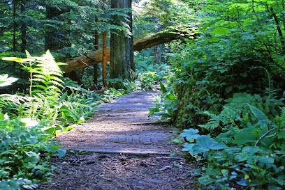 Issaquah Wellness Center