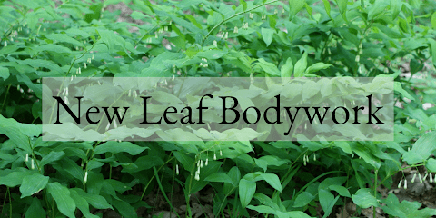 New Leaf Bodywork