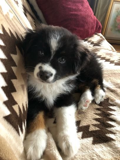 Healthy Hub Massage & Wellness