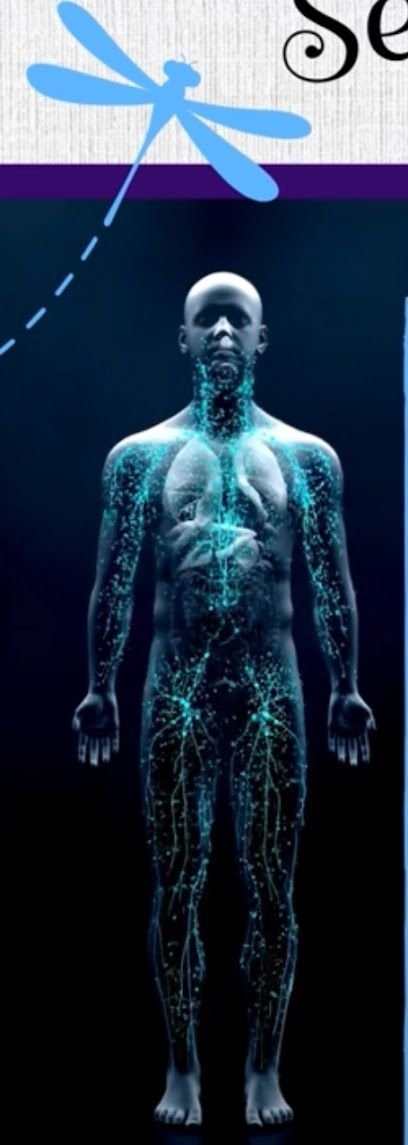 Purple Sage Lymphatic Therapy
