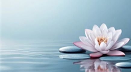 Red Lotus Wellness Center