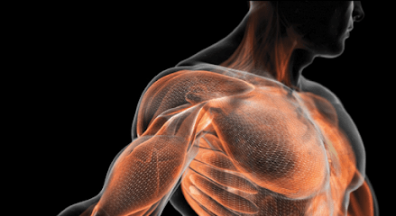 Atlas Therapeutic Massage