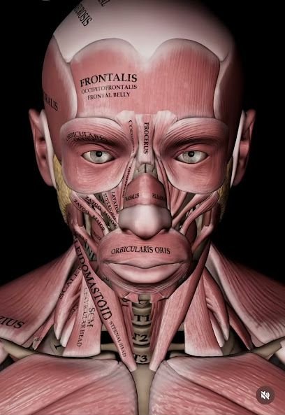 Feel The Release Therapeutic Massage LLC