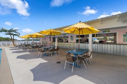 Coconuts At The Lake