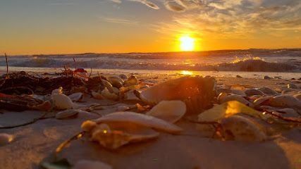 Mellow Manatee Wellness