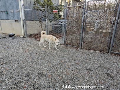 WagWorld Pub & Dispensary