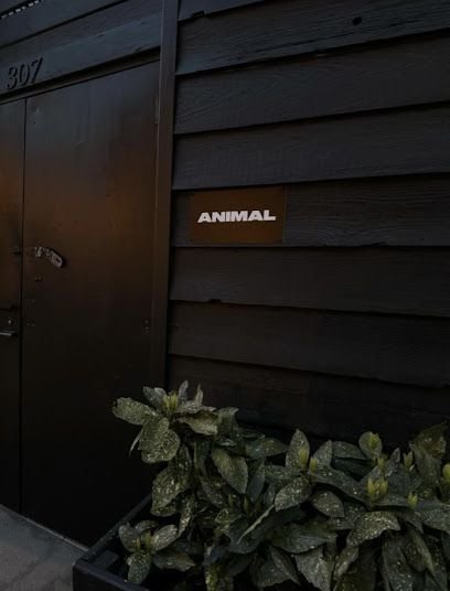 ANIMAL