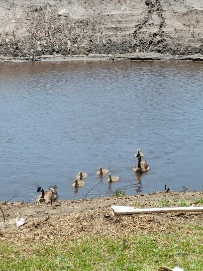 Mother Earth Day Spa at Grand Palms Resort