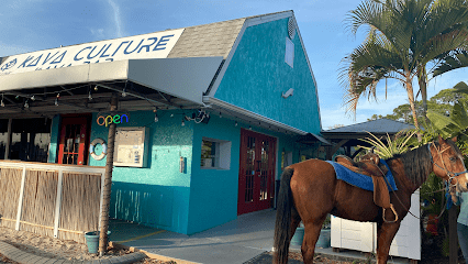 Kava Culture Kava Bar