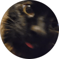 #